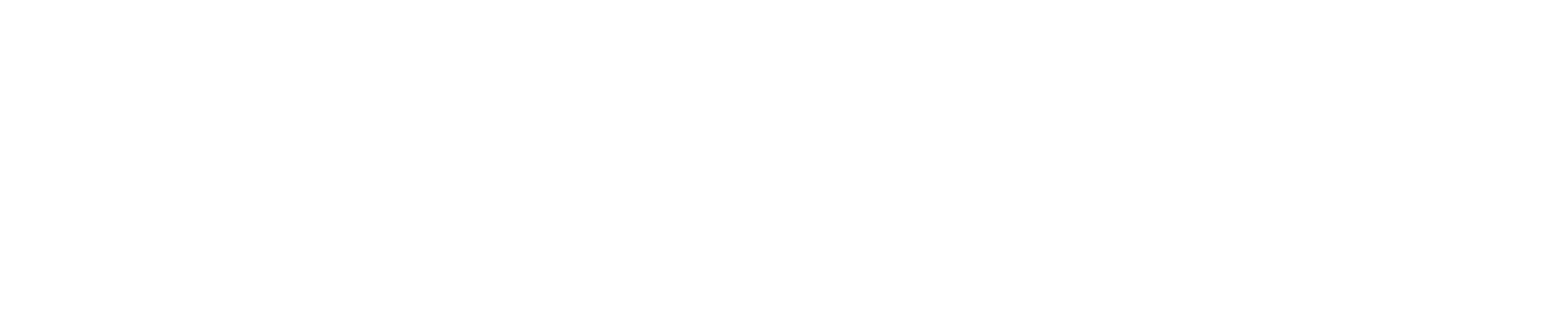 IEEE MetroXRAINE 2025